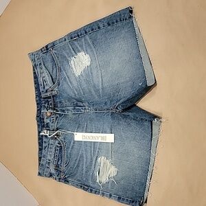 BlankNYC, Size 27, Denim Shorts, Raw Hem, Distressed, NEW with Tag